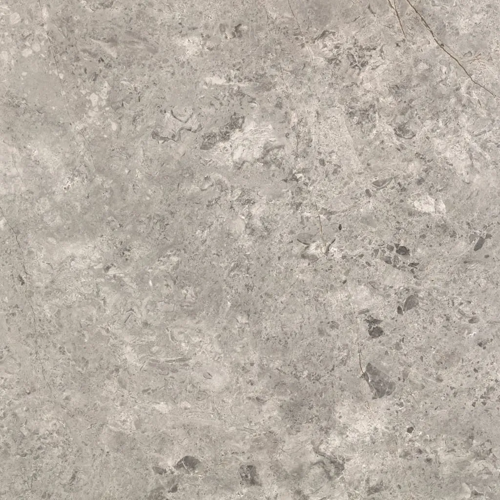 Tundra Grey Marble